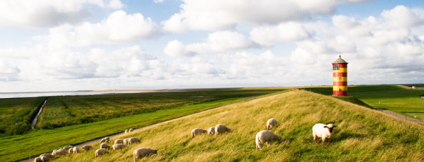 Ein "plattes" Vergnügen! Ostfriesland verzaubert seine Besucher