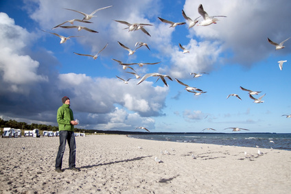 Eine Reise entlang der Ostsee