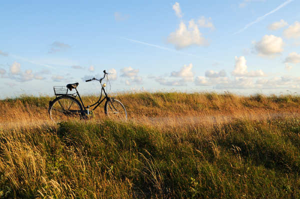 Fahrradroute in Ostfriesland