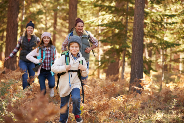 Eine Familie beim gemeinsamen Wandern im Wald