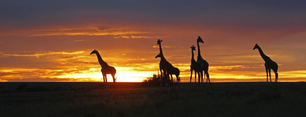 Reiseberichte Kenia - die Welt des Nomadenvolks der Massai